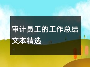 審計員工的工作總結(jié)文本精選