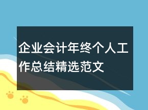 企業(yè)會計年終個人工作總結精選范文