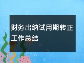 財務出納試用期轉正工作總結