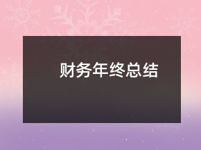財(cái)務(wù)年終總結(jié)