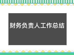 財務(wù)負責(zé)人工作總結(jié)