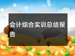會計綜合實訓總結(jié)報告