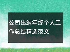 公司出納年終個人工作總結(jié)精選范文