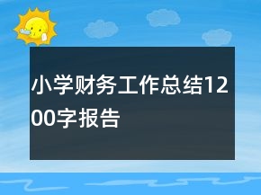 小學(xué)財(cái)務(wù)工作總結(jié)1200字報(bào)告