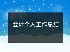 會(huì)計(jì)個(gè)人工作總結(jié)