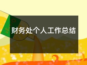財務處個人工作總結