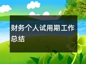 財務(wù)個人試用期工作總結(jié)