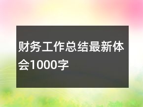 財(cái)務(wù)工作總結(jié)最新體會(huì)1000字