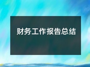 財務(wù)工作報告總結(jié)