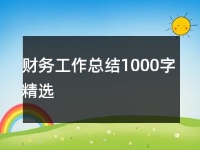 財務(wù)工作總結(jié)1000字精選