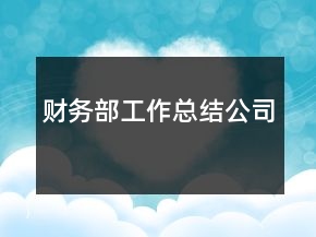 財(cái)務(wù)部工作總結(jié)公司
