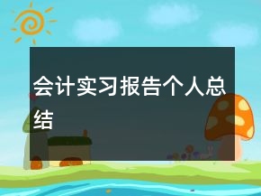 會計(jì)實(shí)習(xí)報(bào)告?zhèn)€人總結(jié)