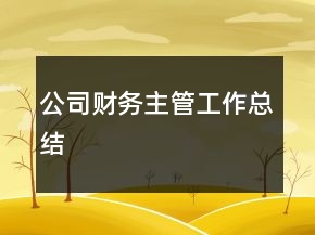 公司財(cái)務(wù)主管工作總結(jié)
