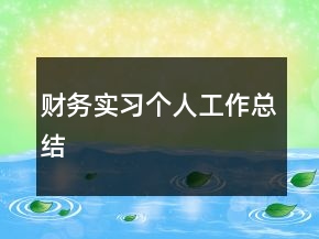 財務(wù)實(shí)習(xí)個人工作總結(jié)