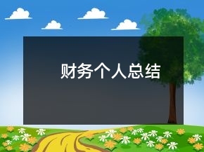 財務(wù)個人總結(jié)