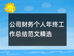 公司財(cái)務(wù)個(gè)人年終工作總結(jié)范文精選