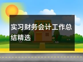 實習(xí)財務(wù)會計工作總結(jié)精選