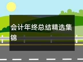 會計年終總結(jié)精選集錦