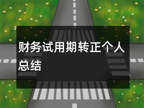 財(cái)務(wù)試用期轉(zhuǎn)正個人總結(jié)