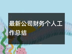 最新公司財務(wù)個人工作總結(jié)