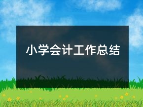 小學(xué)會(huì)計(jì)工作總結(jié)
