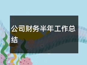 公司財務(wù)半年工作總結(jié)