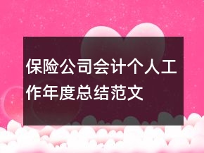 保險公司會計個人工作年度總結(jié)范文