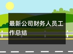 最新公司財務(wù)人員工作總結(jié)