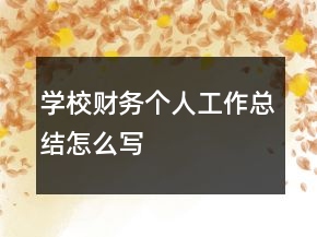 學(xué)校財(cái)務(wù)個(gè)人工作總結(jié)怎么寫