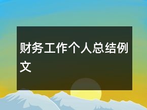 財(cái)務(wù)工作個(gè)人總結(jié)例文