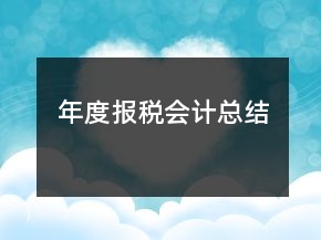 年度報(bào)稅會(huì)計(jì)總結(jié)