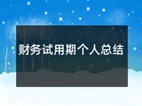 財務(wù)試用期個人總結(jié)
