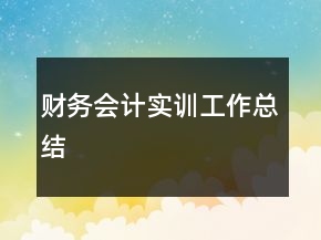 財務會計實訓工作總結(jié)