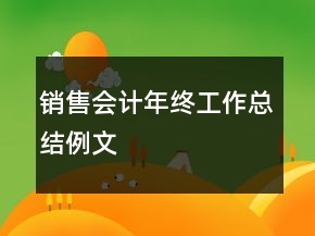 銷售會計年終工作總結例文