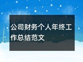 公司財(cái)務(wù)個(gè)人年終工作總結(jié)范文