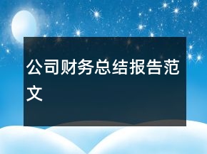 公司財(cái)務(wù)總結(jié)報(bào)告范文