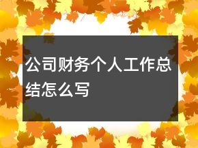 公司財務(wù)個人工作總結(jié)怎么寫