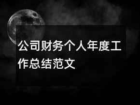 公司財務(wù)個人年度工作總結(jié)范文