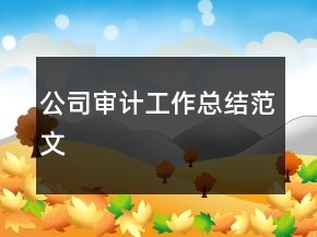 公司審計工作總結(jié)范文