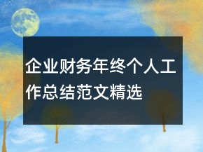 企業(yè)財務年終個人工作總結范文精選
