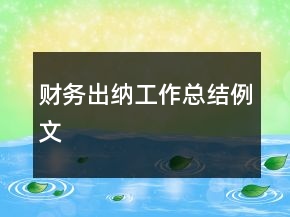 財務(wù)出納工作總結(jié)例文
