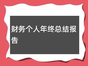 財(cái)務(wù)個(gè)人年終總結(jié)報(bào)告