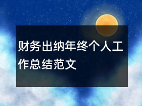 財務(wù)出納年終個人工作總結(jié)范文