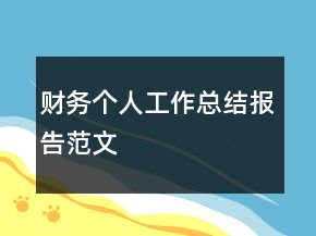 財務(wù)個人工作總結(jié)報告范文