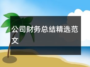 公司財務總結精選范文