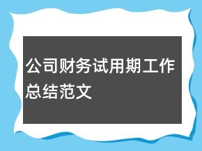 公司財(cái)務(wù)試用期工作總結(jié)范文