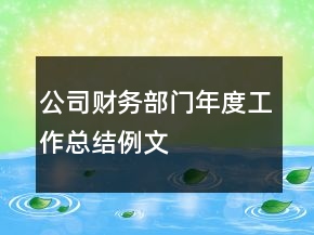 公司財務(wù)部門年度工作總結(jié)例文