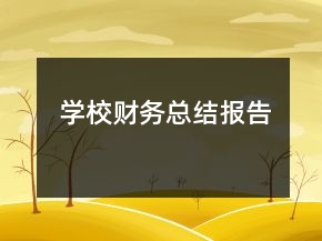 學(xué)校財務(wù)總結(jié)報告