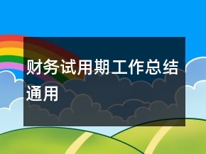 財務試用期工作總結通用