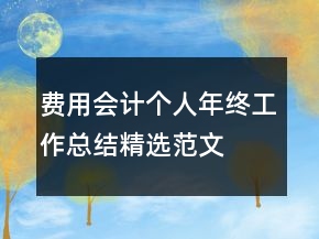 費(fèi)用會計(jì)個人年終工作總結(jié)精選范文